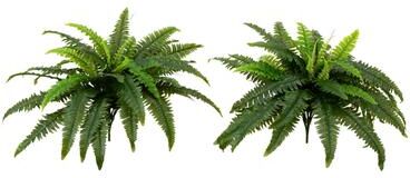 Nearly Natural "40"" UV Resistant Artificial Boston Fern (Indoor/Outdoor) - Set of 2 - Green"