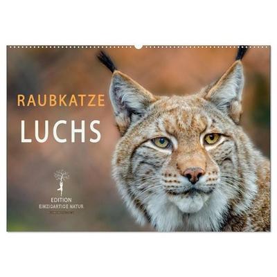 Raubkatze Luchs (Wandkalender 2027 DIN A2 quer), CALVENDO Monatskalender