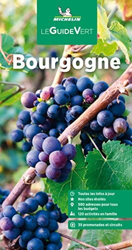 Michelin - Bourgogne - Preis vom 02.10.2026 23:42:20 h