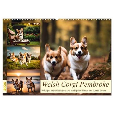 Welsh Corgi Pembroke (Wandkalender 2026 DIN A2 quer), CALVENDO Monatskalender