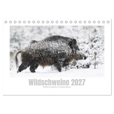 Wildschweine – Wildlife Fotografien (Tischkalender 2027 DIN A5 quer), CALVENDO Monatskalender