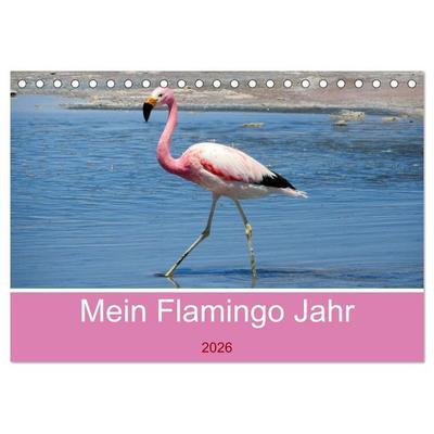 Mein Flamingo Jahr (Tischkalender 2026 DIN A5 quer), CALVENDO Monatskalender