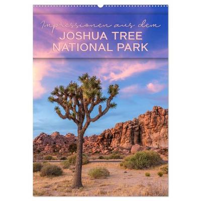 Impressionen aus dem JOSHUA TREE NATIONAL PARK (Wandkalender 2027 DIN A2 hoch), CALVENDO Monatskalender