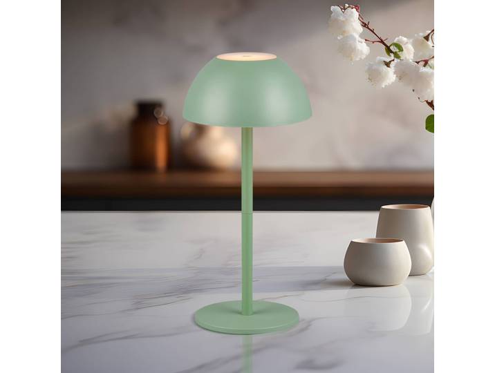 Reality Leuchten LED-Akku-Tischlampe Ricardo, grün, Höhe 30 cm, Kunststoff dimmbar, grün, Kunststoff, Modern