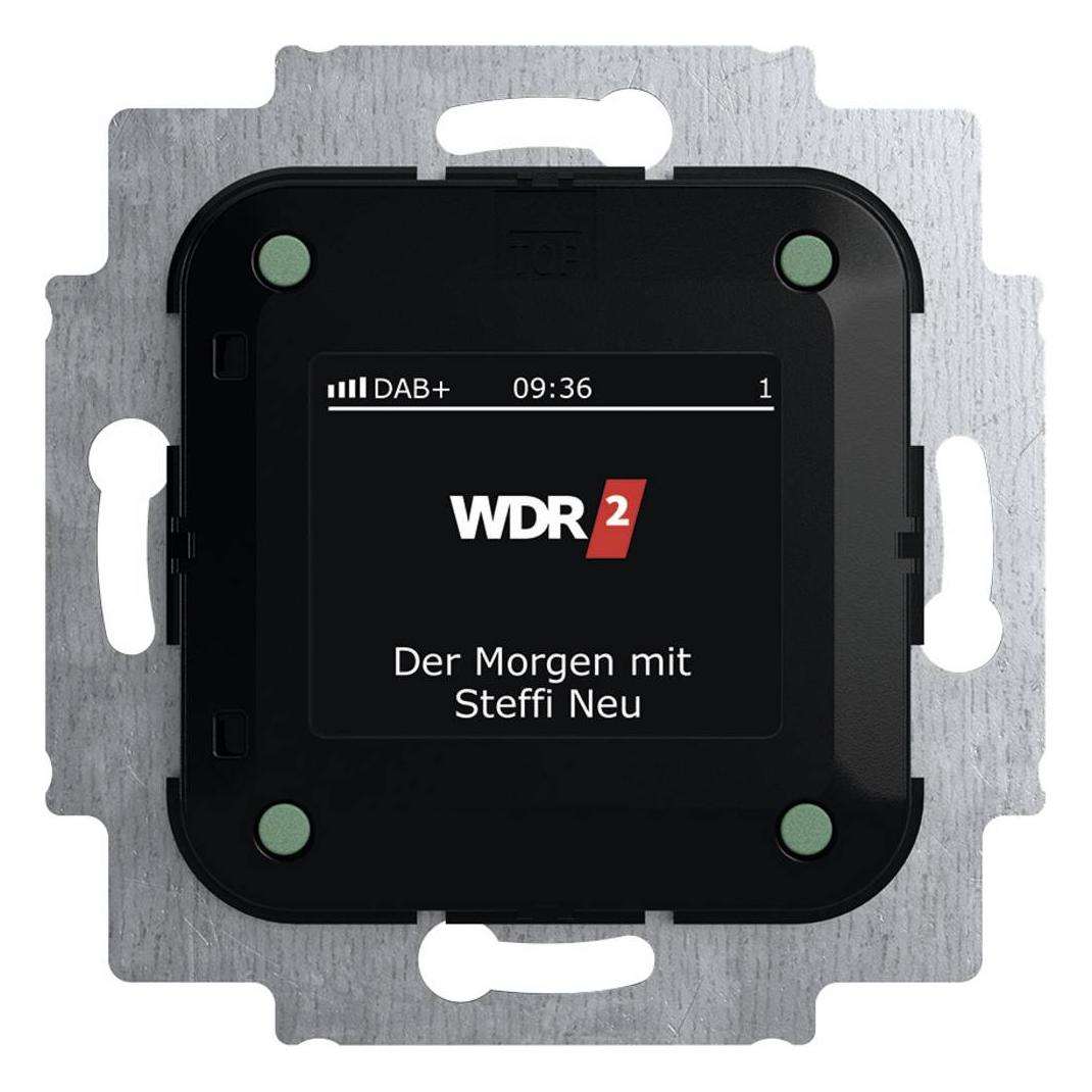 Busch-Jaeger Busch-Radio DAB+ (DAB+, FM) (2CKA008200A0275)