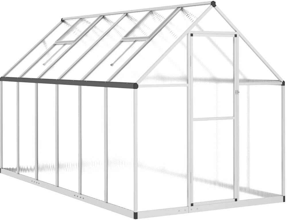 vidaXL Serre avec cadre de base argenté 334x169x195 cm aluminium