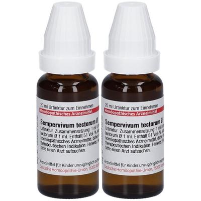 Sempervivum tectorum Urtinktur 2x 2x20 ml Dilution