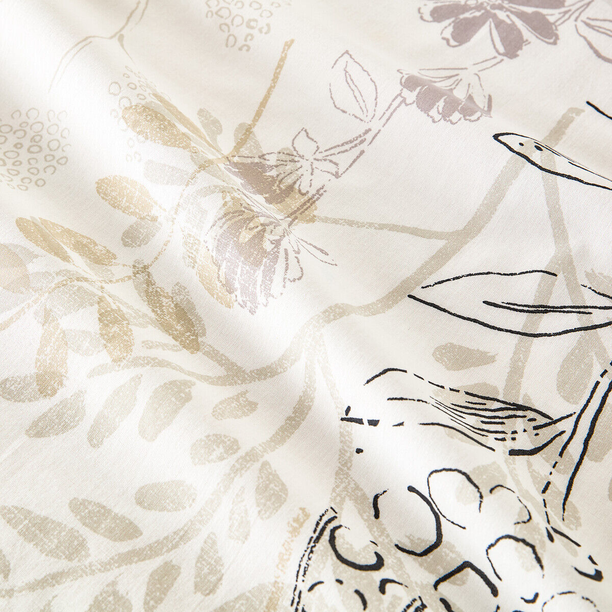LA REDOUTE INTERIEURS Drap plat coton, Romarin