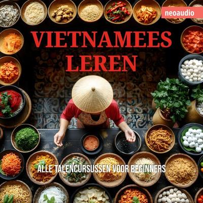 Taalcursussen voor beginners, Vietnamees leren - NeoAudio, Audio, 4066004872803