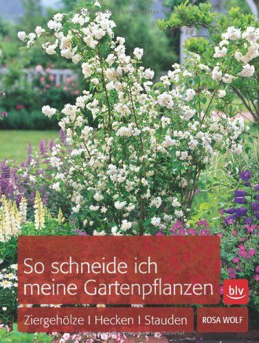 Rosa Wolf - So schneide ich meine Gartenpflanzen: Ziergehölze, Hecken, Stauden - Preis vom 09.10.2026 07:28:09 h
