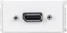 VivoLink WI221268 DisplayPort-stopcontact, wit