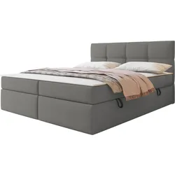 BOXBETT Figaro - H3