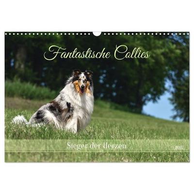 Fantastische Collies - Sieger der Herzen (Wandkalender 2027 DIN A3 quer), CALVENDO Monatskalender