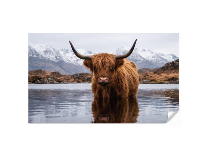 OnlyWow Tapete - Schottischer Hochländer - Braun - Wasser - 450x260 cm, Papier, Rechteckig, 450x260 cm, Tapeten & Wandverkleidungen, Vliestapeten