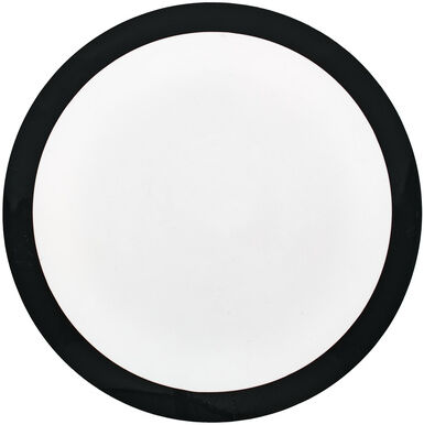 "Millenium 14"" Snare Frisbee "