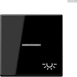 Jung A590BFKO5LSW Wippe Symbol Licht mit Lichtleiter Serie A schwarz