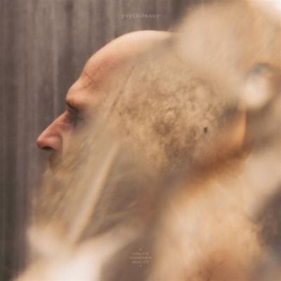 VIOLATE CONSENSUS REALITY (Black Vinyl) - Psychonaut, Vinyl