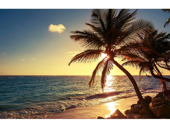 Fototapete PAPERMOON PALMEN-STRAND SONNENUNTERGANG NATUR MEER LANDSCHAFT XXL , bunt, B:3,5m L:2,6m, Vlies, Tapeten, Fototapete