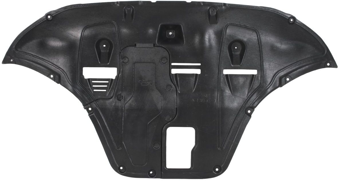 Motor-/Unterfahrschutz BLIC 6601-05-0000072P