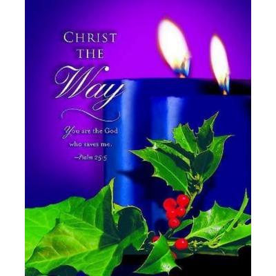 Advent Blue Sunday 2 Bulletin 2012, Large Size (Package of 50)