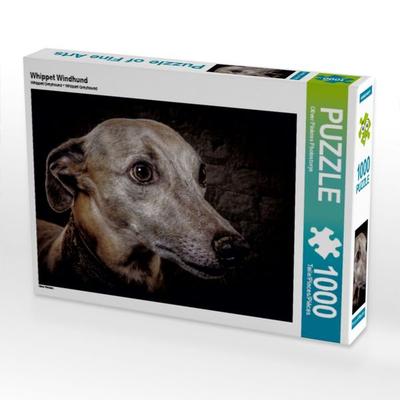 CALVENDO Puzzle Whippet Windhund | 1000 Teile Lege-Größe 64x48cm Foto-Puzzle für glückliche Stunden