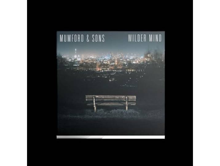 Wilder Mind