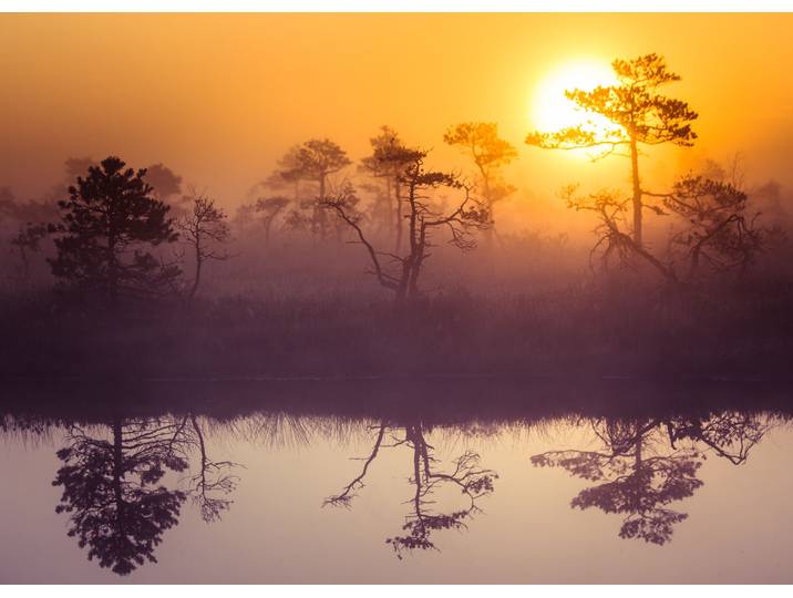 Fototapete PAPERMOON Misty Morning Scenery , bunt, B:3,5m L:2,6m, Vlies, Tapeten, Fototapete