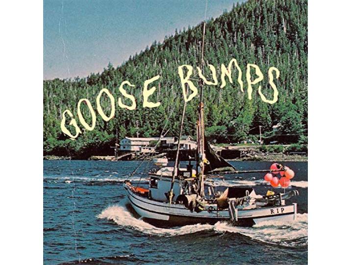 Goose Bumps