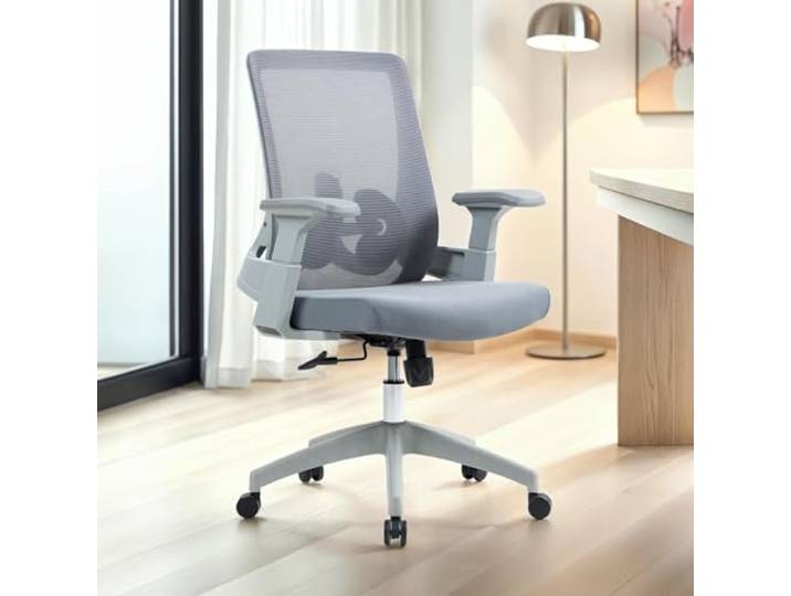 IDIMEX Bürodrehstuhl CAPVAL höhenverstellbar mit Lendenstütze, grau - ergonomischer Schreibtischstuhl mit Mesh-Rücken, moderner Drehstuhl, bequemer Bürostuhl für Home-Office [bis 120 kg]