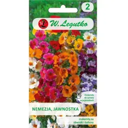 Nemesia, Jawnostka-Mischung (abgeriebene Samen)