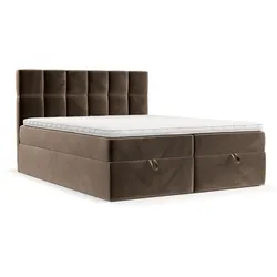 BOXBETT Savio 200/200 cm Braun im Paros Stoff