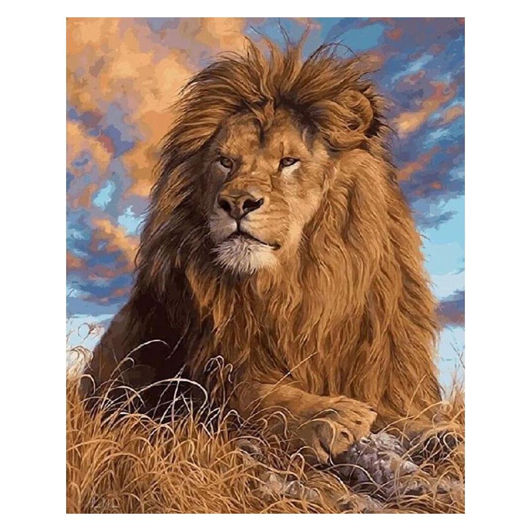 Pracht Diamond Painting Löwe (6030-40151)