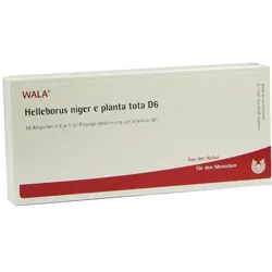 Helleborus Niger e planta tota D 6 Ampul 10X1 ml