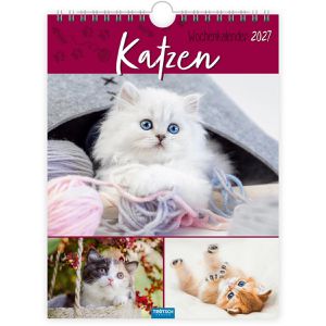 Trötsch Bildkalender 2027705, Katzen, Jahr 2027, Motiv: Katzen, Wochenkalender, 19 x 25cm