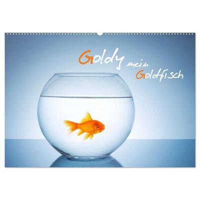 Goldy - mein Goldfisch (Wandkalender 2026 DIN A2 quer), CALVENDO Monatskalender