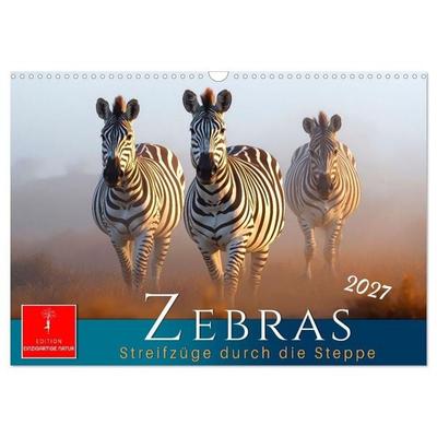 Zebras - Streifzüge durch die Steppe (Wandkalender 2027 DIN A3 quer), CALVENDO Monatskalender