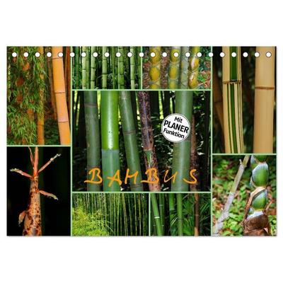 BAMBUS (Tischkalender 2027 DIN A5 quer), CALVENDO Monatskalender