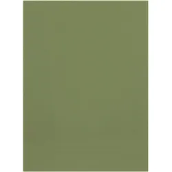 Elba, Mappe, Aktendeckel, DIN A4, Manilakarton, ohne Druck, grün 250 g-qm (A4, 1x)