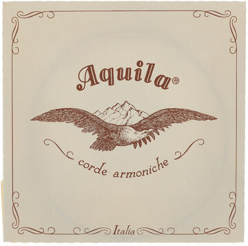 Aquila 100D Wound Nylgut Lute String