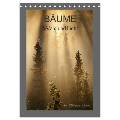 BÄUME (Tischkalender 2026 DIN A5 hoch), CALVENDO Monatskalender