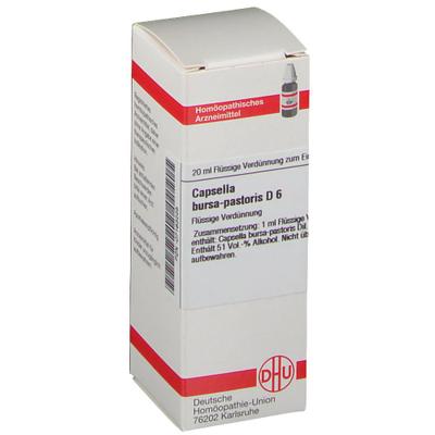 Capsella Bursa pastoris D 6 Dilution 20 ml