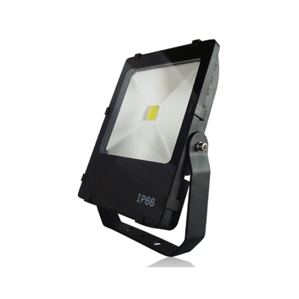 Franssen Led Tuinspot Floodlight - Zwart - Aluminium
