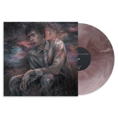 LATER THAT DAY,THE DAY BEFORE (..) (Stormcloud Vi - Casey MQ, Vinyl
