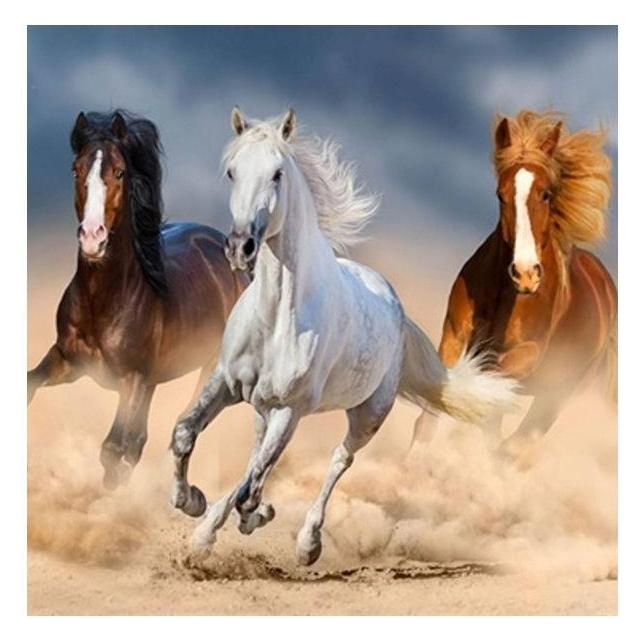 Pracht Diamond Painting Pferde im Galopp (6037-50171)