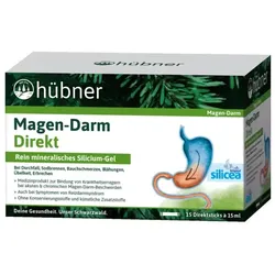 Hübner Magen-Darm Direkt Sticks (15St)