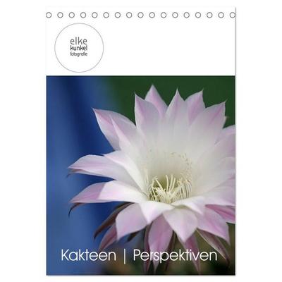 Kakteen Perspektiven (Tischkalender 2027 DIN A5 hoch), CALVENDO Monatskalender