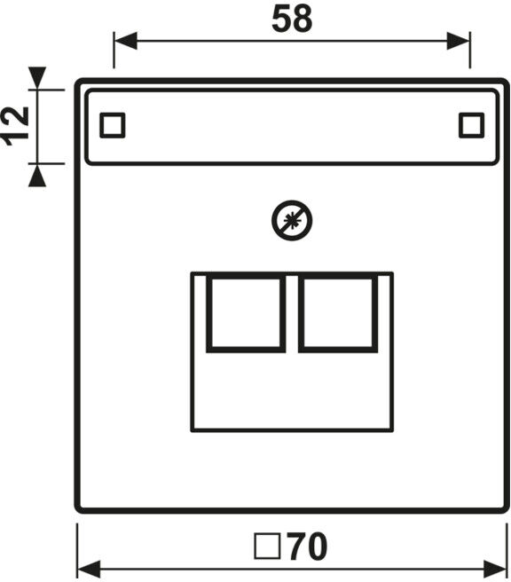 Jung Cache pour champ de texte alu AL 2969-2 NAUA (AL2969-2NAUA)