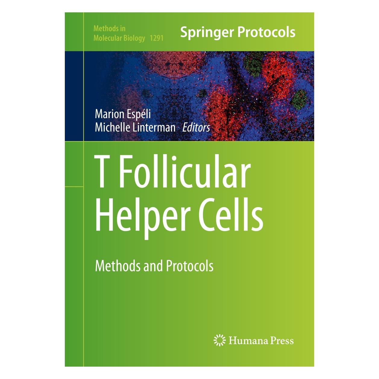 Springer T follicular Helper Cells (Englisch, Hardcover, Marion Espéli, Michelle Linterman) (9781493924974)