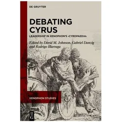 Debating Cyrus, Fachbücher von Rodrigo Illarraga, Gabriel Alexander Danzig, David M. Johnson