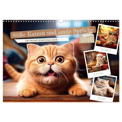 Süße Katzen und coole Sprüche (Wandkalender 2026 DIN A3 quer), CALVENDO Monatskalender